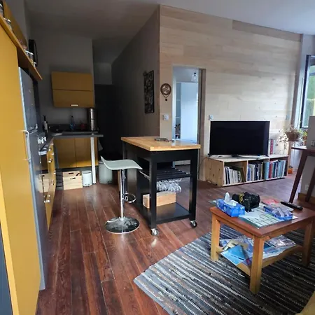 T1 Duplex Centre Gazost דירה